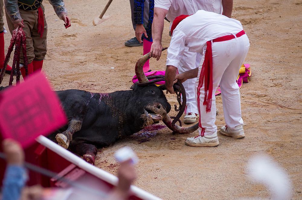 tragicne-fotografije-pokolja-na-spanskom-festivalu-borbe-sa-bikovima-648-1469522576