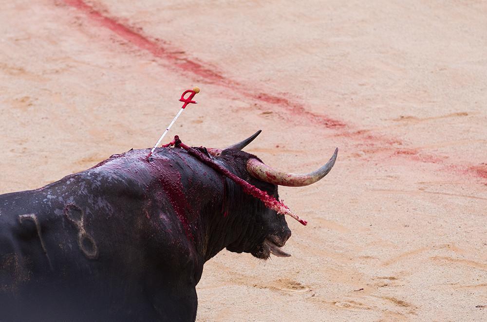 tragicne-fotografije-pokolja-na-spanskom-festivalu-borbe-sa-bikovima-858-1469522516