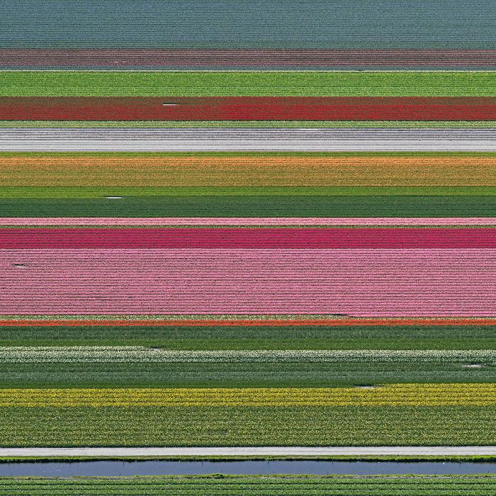 tulip-fields-aerial-photography-netherlands-bernhard-lang-577274e2d52ae__700