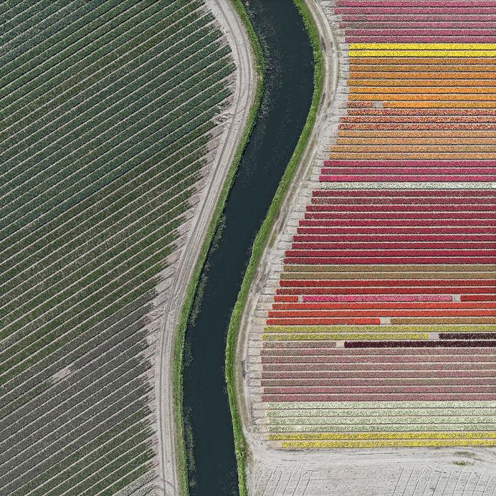 tulip-fields-aerial-photography-netherlands-bernhard-lang-577274eaa0bfa__700