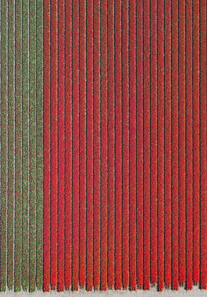 tulip-fields-aerial-photography-netherlands-bernhard-lang-5773d992470b3__700