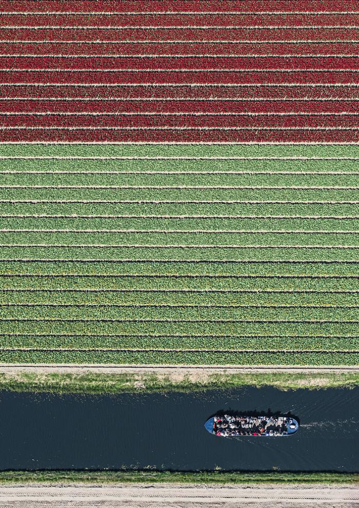 tulip-fields-aerial-photography-netherlands-bernhard-lang-5773d99b16610__700