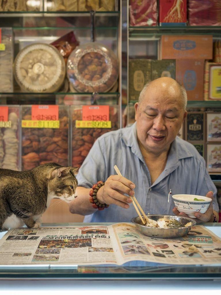 shop-cats-photography-marcel-heijnen-hong-kong-31-5809cda41976e__880