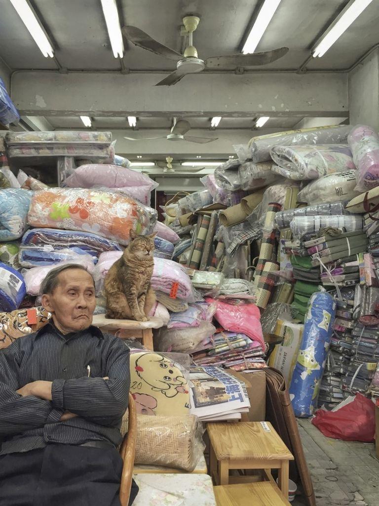 shop-cats-photography-marcel-heijnen-hong-kong-32-5809cda74b100__880