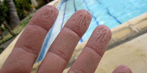 прсти