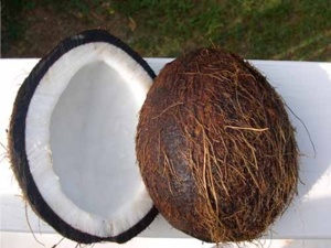 coconut-tm.jpg