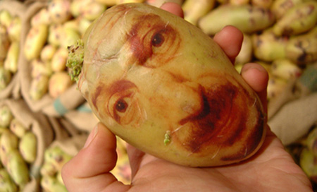 potatoportraits01.jpg