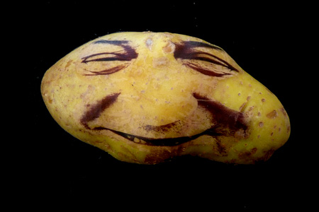 potatoportraits11.jpg