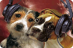 dogs_music