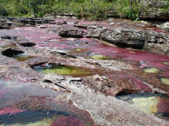 rainbow-river-3