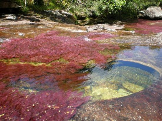 rainbow-river-4