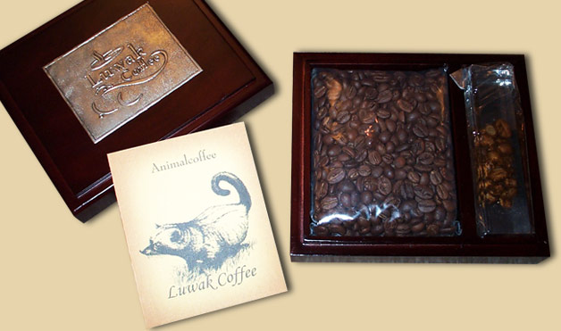 kopi-luwak-coffee.jpg