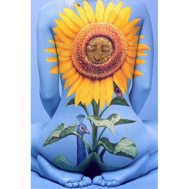 sunflower_1514667i