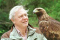 attenborough-photo