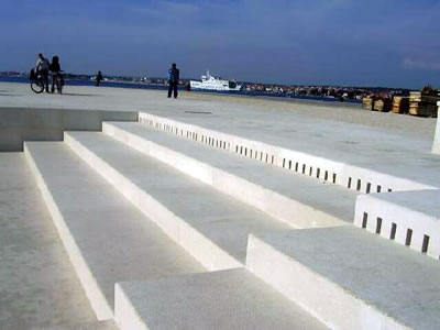 sea_organ2