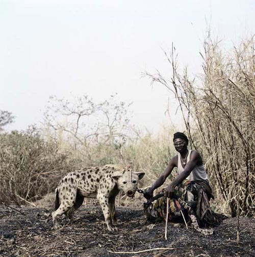 hyenapet01