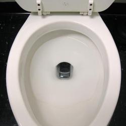 phoneinthetoilet