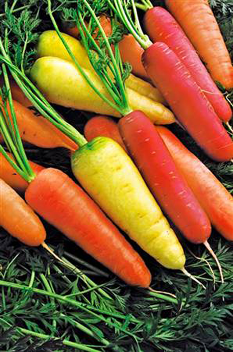 carrots.png