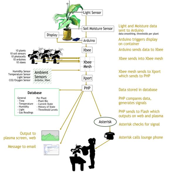 itplants-schematic7