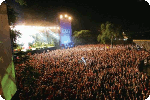 exit-festival-crowd