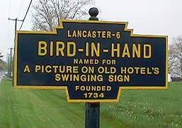 birdinhand