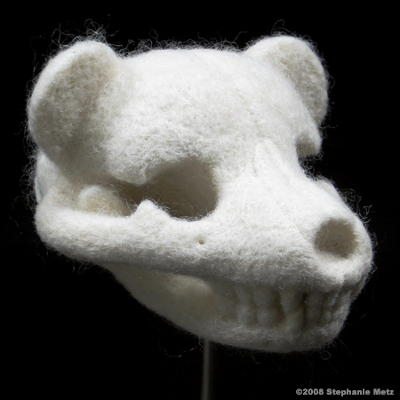 teddy_bear_skull_ursulus_mellitus_angle