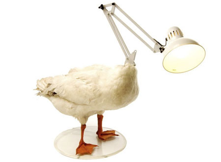 dead-duck-lamp