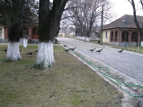 Фоторепортажа: Демир Капија