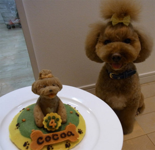 Роденденски торти за кучиња