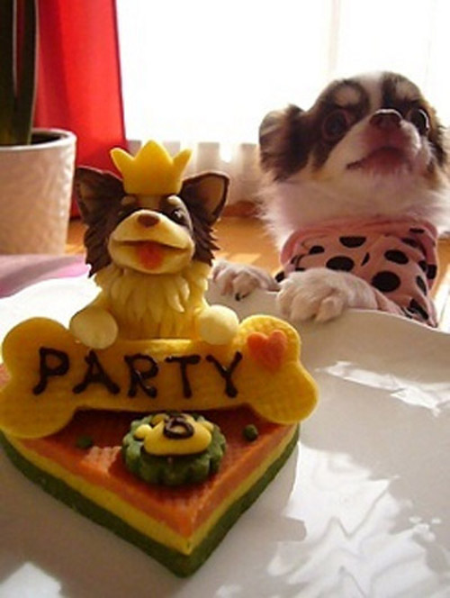 Роденденски торти за кучиња
