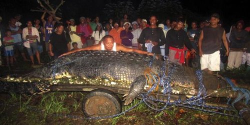 Џиновски крокодил уловен на Филипини