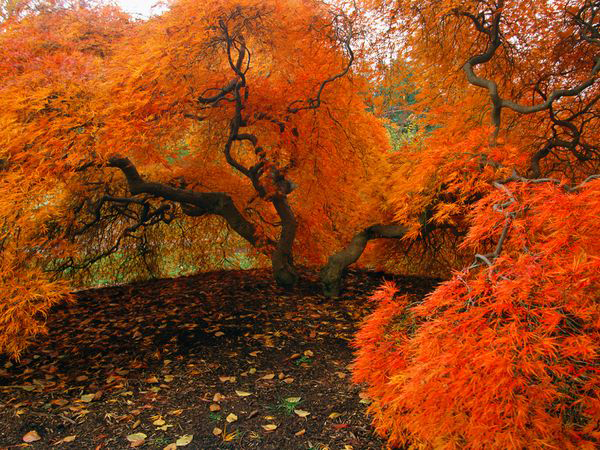 Фантастични есенски пејзажи 