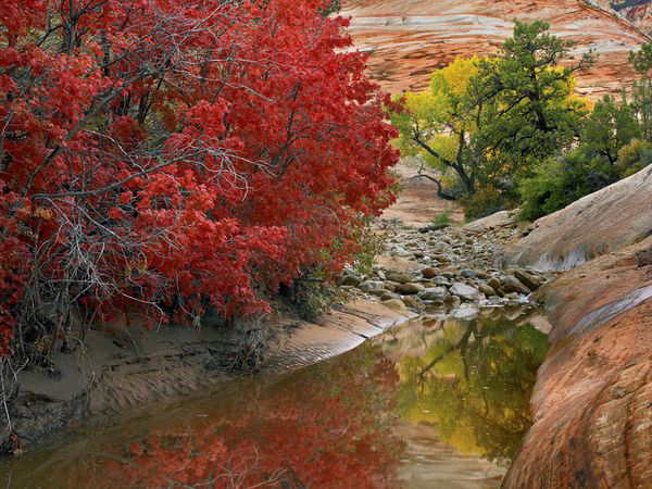 Фантастични есенски пејзажи 