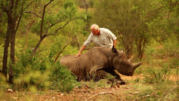 Летот на носорозите