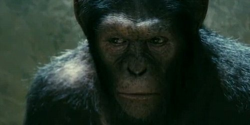 Трејлер: Rise of the Planet of the Apes (видео)