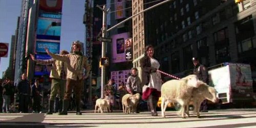 Промоција со овци среде Њујорк (видео)