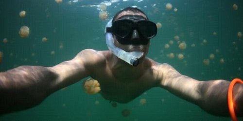 Ние Езерото на медузите (видео)