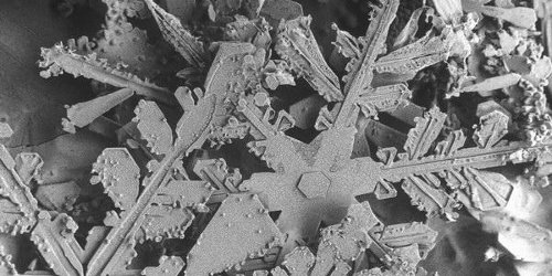 Снегулки под микроскоп