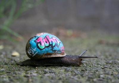 snail2.jpg