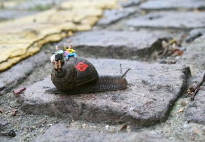 snail3.jpg